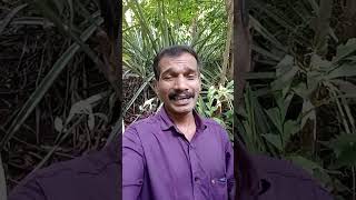 കല്കണ്ട കുന്നിൻ മേലൊരു മലയാളം song malayalalm [upl. by Wye101]