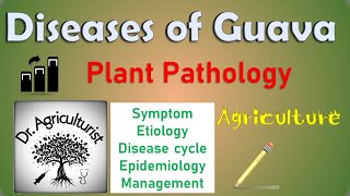 L 20  Diseases of Guava  अमरूद  Anthracnose and Wilt  Fusarium  Agriculture BSc  IGKV [upl. by Ynohtnad718]