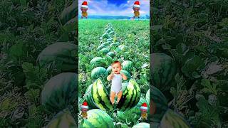 Dhink Chika 🍏cute baby watermelon vfx magic video shorts trading shortvideo viralvideo ytshorts [upl. by Aneeuq]