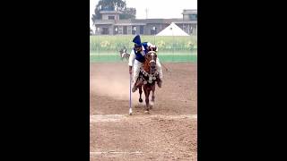 Nazabazi with Mubashar Tiwana beautifulhorses horse pakistan punjab youtube youtubeshorts [upl. by Doria525]