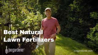 Best Natural Lawn Fertilizers [upl. by Aenel]