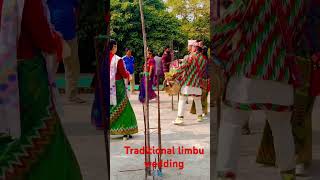 Traditional Limbu wedding shortsfeed love trending youtubeshorts ytshorts shorts video yt [upl. by Maltzman]