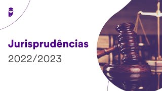 Jurisprudências 20222023 Direito Previdenciário  Prof Rubens Mauricio [upl. by Caldera358]