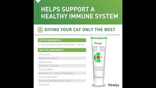 Vetoquinol Viralys Gel L Lysine Supplement for Cats [upl. by Kayle619]