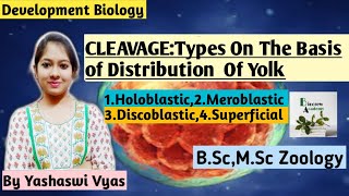 CLEAVAGETypes On The Basis Of Distribution Of YolkBScMScDevelopmentBiology [upl. by Paulette]