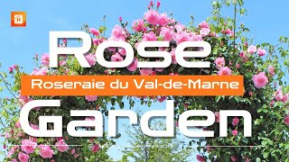 Roseraie de LHAY Roseraie du ValdeMarne France 🇫🇷 [upl. by Aneled]