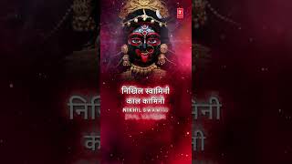 Shorts नमो देवी अनंत रूपिणी Namo Devi Anant Rupini  With Lyrics  ANURADHA PAUDWAL  Lyrical Video [upl. by Atinauj]