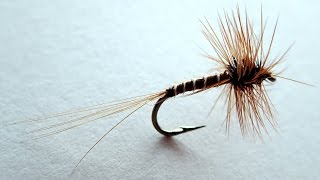 BM Dry Fly [upl. by Hatty]