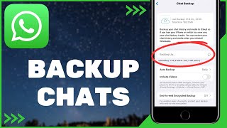 How to Backup Chat on WhatsApp  WhatsApp Chat Backup [upl. by Sigvard]