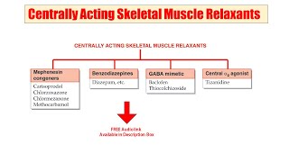 26 Centrally Acting Muscle Relaxant  AUDIO Pharmacological Classification  Muscle Relaxant [upl. by Neyud]