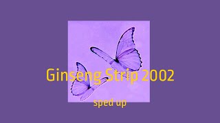 Ginseng Strip 2002  sped up [upl. by Odranoel680]