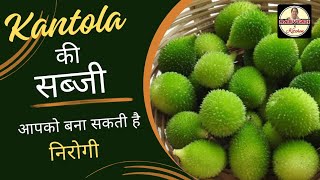 Kantola ki sabji  spiny gourd ki sabji  how to make kantola recipe [upl. by Ainival66]