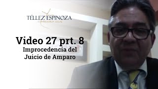 Video 27 prt 8 Improcedencia del Juicio de Amparo [upl. by Ahsemrak919]