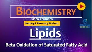 43 Part 8 Beta Oxidation of Saturated Fatty Acid  Lipid Metabolism  Biochemistry [upl. by Avot630]