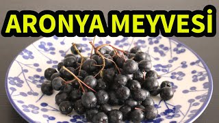 Aronya Meyvesi Nedir Nasıl Yenir ve Faydaları Nelerdir 🍇 [upl. by Halima]