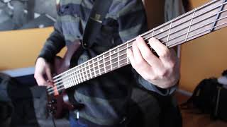 Dance Gavin Dance  Semicharmed Life Bass cover [upl. by Lemay]