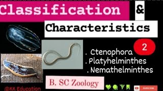 Classification amp Characteristics  2 l Ctenophora l Platyhelminthes l Nemathelminthes l [upl. by Enrique]