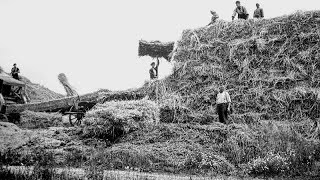 Ländliches Leben in Unterfranken um 1900 [upl. by Josi47]