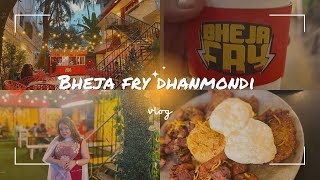 Vlog229 Bheja fry Dhanmondi🧠 beef chap mogoj fry luchi malai cha Dhanmondi restaurent review [upl. by Ecnerol]