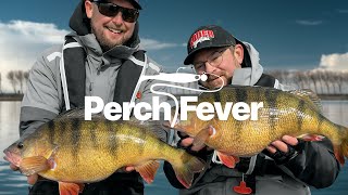 Perch Fever  Abborrfiske på nästa nivå [upl. by Joycelin767]