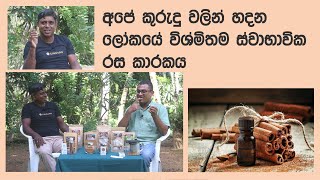 ලංකාවේ කුරුඳු වලින් හදන ලෝකයේ විශිෂ්ටතම ස්වාභාවික රසකාරකය  worlds best natural sweetener [upl. by Oswell]