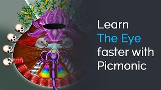 Learn The Eye Faster with Picmonic MCAT PreHealth [upl. by Mandle]