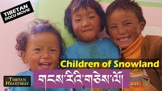 Children of Snowland  Award Winning Tibetan Documentary [upl. by Riedel390]