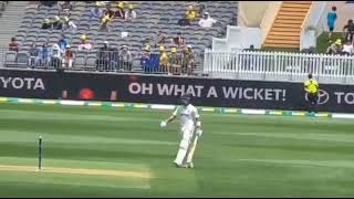 Virat Kohli Wicket  Out  Dismissal TODAY MATCH along with jaiswal amp padikal wicket [upl. by Barth]