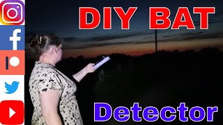 DIY Bat Detector  £22 Amazon  Is It Worth The Money Build and Test [upl. by Zeke]