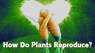 The World of Plant Reproduction How Our Food Grows Naturally plantreproduction gardeningtips [upl. by Kleiman]