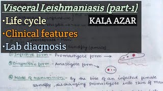 Kala azar part1  Visceral Leishmaniasis  Life cycle  Clinical features  Lab diagnosis [upl. by Camella]