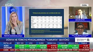 CANLI Yumurta Fiyatları Neden Artıyor İbrahim Afyon Prof Dr Bülent Gülçubuk  AGRO Ekonomi [upl. by Bringhurst]