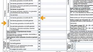 Formulario 300 Declaracion de IVA [upl. by Haggi514]