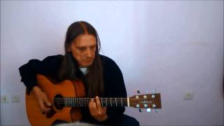 Bird of Paradise  Fingerstyle Guitar  Snowy White [upl. by Ytirev930]