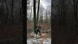 Söğuk bile durdurmadı şantiye düz kesim Abattage darbres гора forest logging ağaçkesimi [upl. by Ennairb]