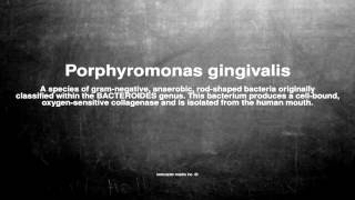 Medical vocabulary What does Porphyromonas gingivalis mean [upl. by Orozco]