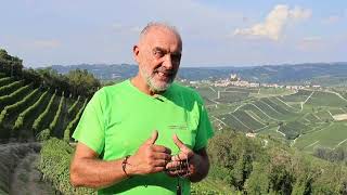 Conterno Fantino Piemonte Slow Wine 2025 [upl. by Vogele]