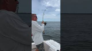 Trolling for Blue Fish in the Barnegat Bay NJ fishing fishingvideo fishingfreaks [upl. by Ytsihc]