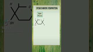 Condensation of monosaccharides to form a disaccharide  A level Biology  Biological Molecules [upl. by Burhans]