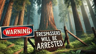 Why Seeing the World’s Tallest Tree Is Now a Crime [upl. by Tedder]