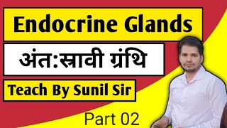 Endocrine glands by Sunil sir [upl. by Amsirp]