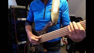 Slap Licks  MGBass Africa 5  Nordstrand Big Blademan Pickups [upl. by Calvo]