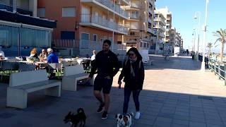 Guardamar del Segura Beach Front And Boardwalk [upl. by Ettereve105]