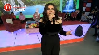 Tülay Maciran  Eşinden Ayrılan Yaralı Ördek Canlı Performans [upl. by Kubetz]