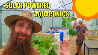 Solar Powered Aquaponics System [upl. by Ecnaled755]