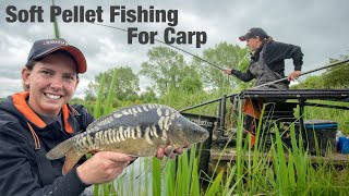 Soft Pellet Fishing For Carp  Kiveton Waters [upl. by Temp908]