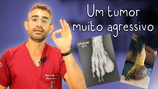 Carcinoma de Células Escamosas Canino  Casos de rotina cirúrgica da residência veterinária 8 [upl. by Adnoraj]