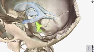 An Overview of the Ventricular System of Brain [upl. by Ainniz201]