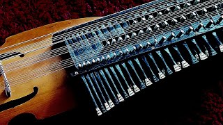 Swedish Bass Nyckelharpa  The Twinkling Star [upl. by Yadsendew]