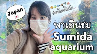 เที่ยวญี่ปุ่น Japan  พาเดินชม Sumida aquarium พิพิธภัณฑ์สัตว์น้ำในโตเกียว [upl. by Malvino]